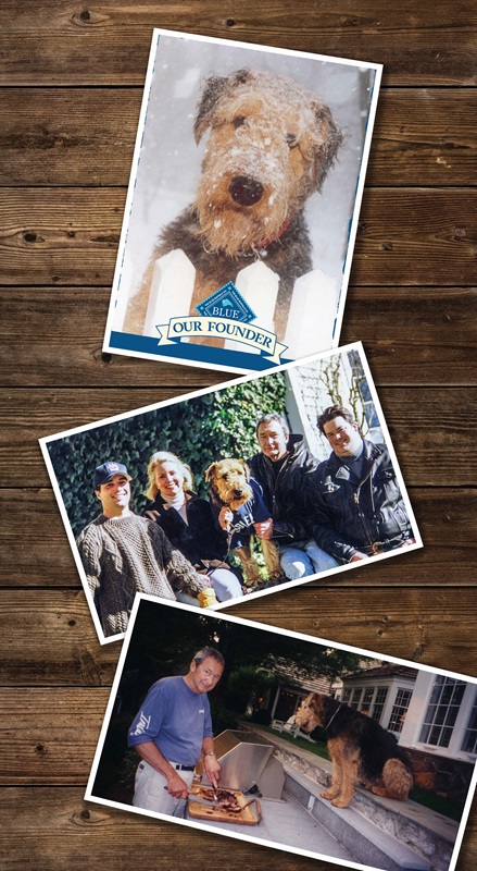 Family photos with Blue the dog