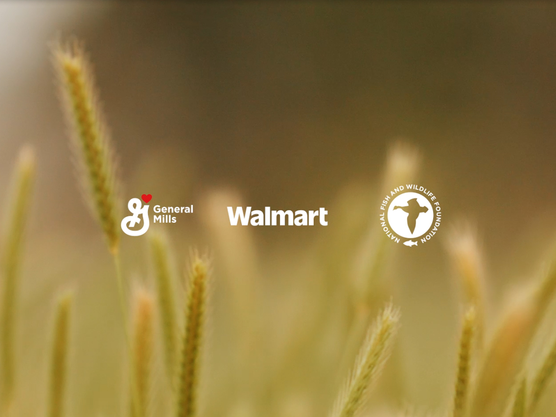 Field with General Mills, Walmart, and National Fish and Wildlife Foundation logos